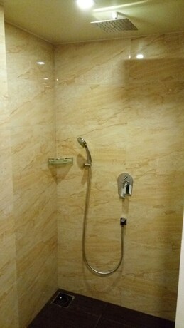 Imagen de la habitación del Hotel The Blossom. Foto 26