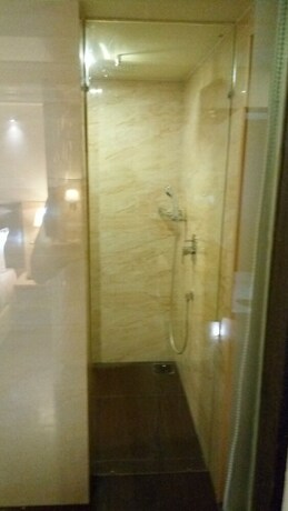 Imagen de la habitación del Hotel The Blossom. Foto 28