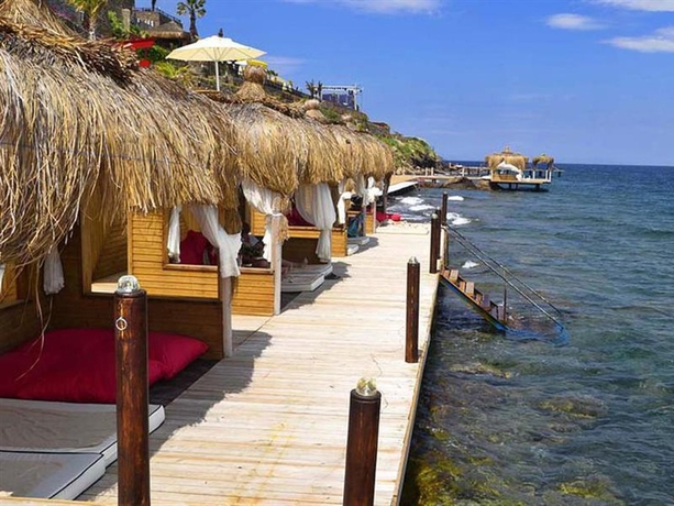Imagen general del Hotel The Blue Bosphorus. Foto 4