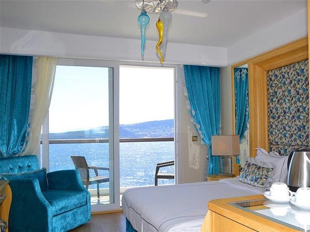 Imagen general del Hotel The Blue Bosphorus. Foto 7