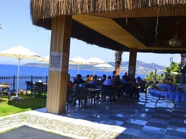 Imagen general del Hotel The Blue Bosphorus. Foto 11