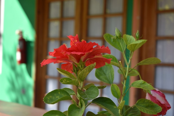 Imagen de la habitación del Hotel The Boardwalk Village. Foto 14