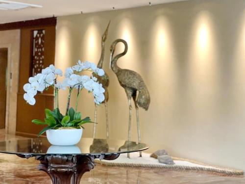 Imagen general del Hotel The Borneo. Foto 2
