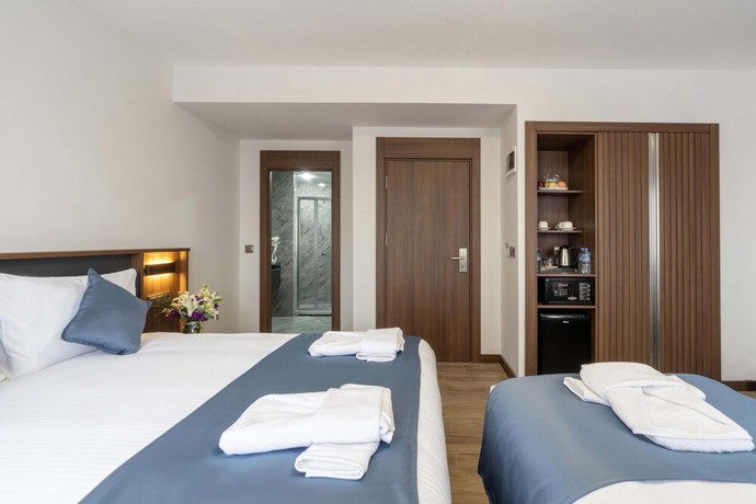 Imagen de la habitación del Hotel The Bosfor. Foto 8