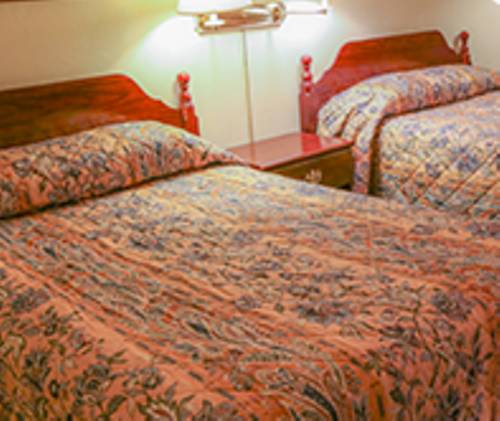 Imagen de la habitación del Hotel The Boston Inn. Foto 13