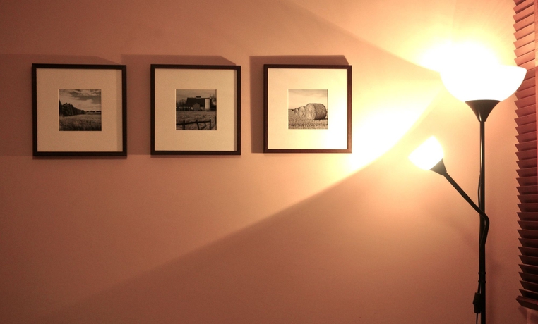 Imagen de la habitación del Hotel The Botanic Service Room. Foto 6