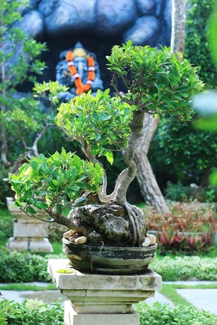 Imagen de los exteriores del Hotel The Box House Nusa Penida. Foto 36