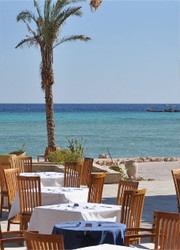 Imagen del bar/restaurante del Hotel The Breakers Diving & Surfing Lodge. Foto 11