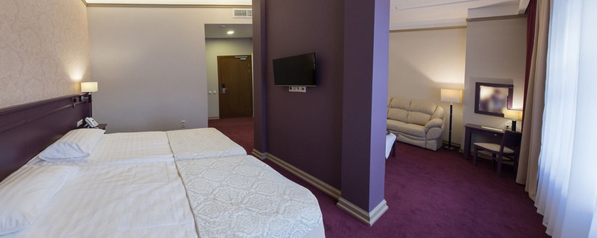 Imagen de la habitación del Hotel The Bridge, Centro San Petersburgo. Foto 13