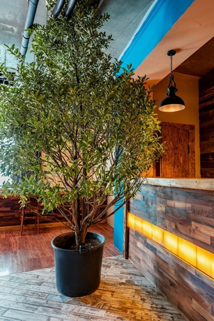 Imagen de los interiores del Hotel The Bridge Hostel Tbilisi. Foto 10