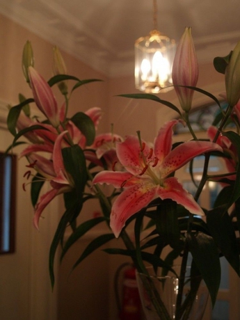 Imagen de los interiores del Hotel The Broadway. Foto 7