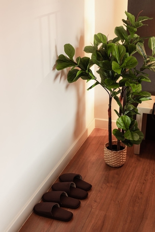 Imagen de la habitación del Hotel The Brown. Foto 13