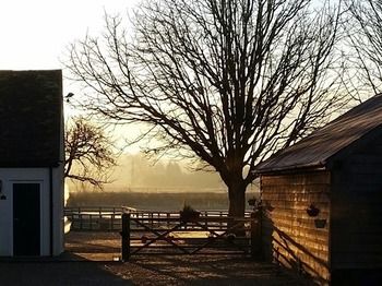 Imagen del bar/restaurante del Hotel The Brownlow. Foto 5