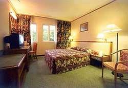 Imagen de la habitación del Hotel The Brunei. Foto 3