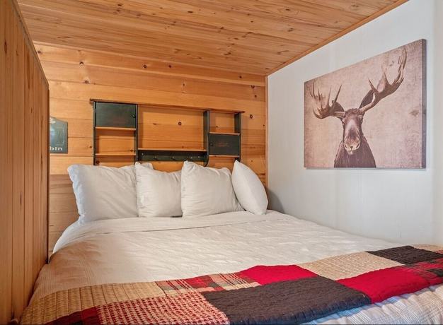 Imagen de la habitación del Hotel The Bucking Moose. Foto 7