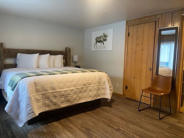 Imagen de la habitación del Hotel The Bucking Moose. Foto 11