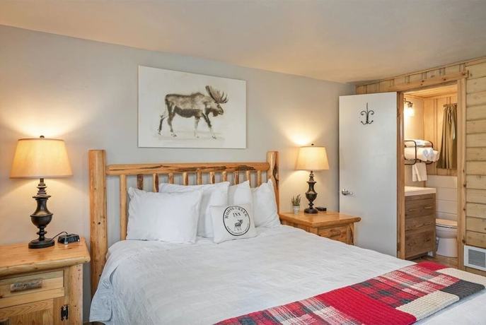 Imagen de la habitación del Hotel The Bucking Moose. Foto 20