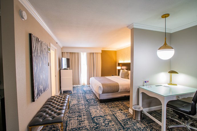 Imagen de la habitación del Hotel The Burgundy, Tapestry Collection by Hilton. Foto 13