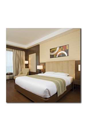 Imagen de la habitación del Hotel The Cabbana Resort and Spa. Foto 10