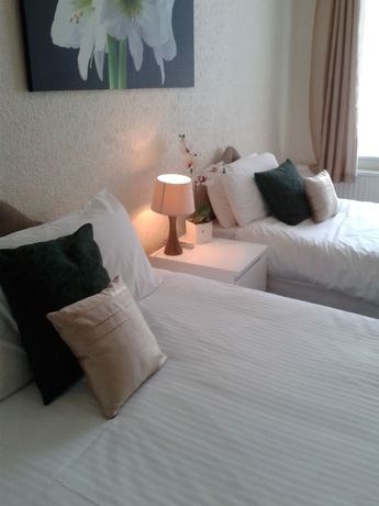 Imagen de la habitación del Hotel The Calypso. Foto 5