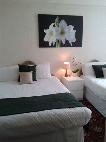 Imagen de la habitación del Hotel The Calypso. Foto 8