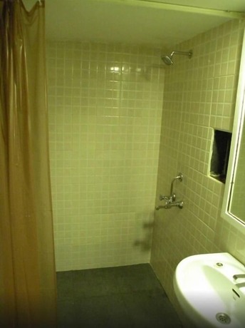 Imagen general del Hotel The Camelot Manor. Foto 12