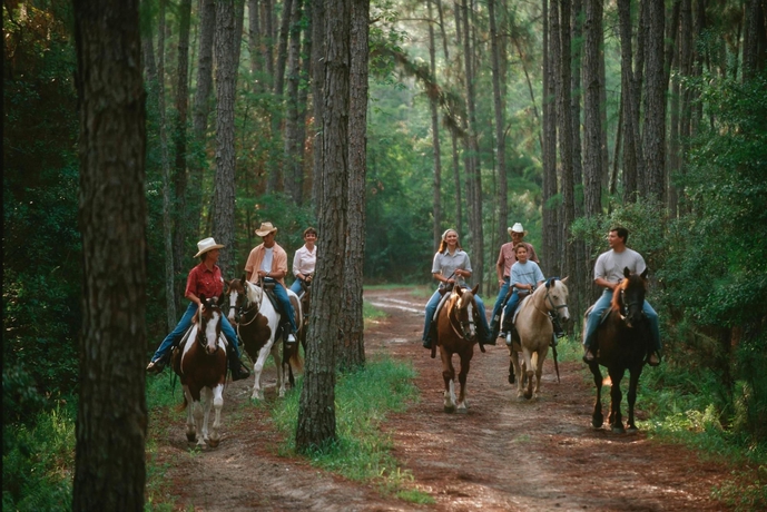 Imagen de los interiores del Hotel The Campsites at Disney's Fort Wilderness Resort. Foto 13