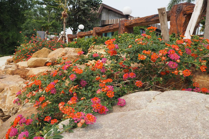 Imagen de los exteriores del Hotel The Canal Garden Resort. Foto 11