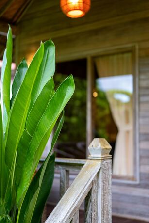 Imagen general del Hotel The Canda Villas. Foto 14