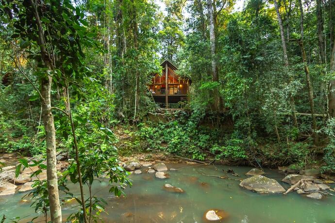 Imagen general del Hotel The Canopy Rainforest Treehouses and Wildlife Sanctuary. Foto 5