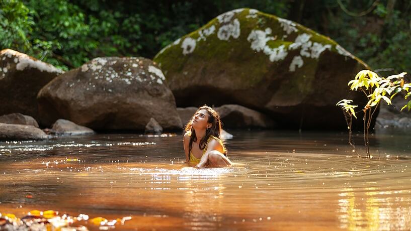 Imagen general del Hotel The Canopy Rainforest Treehouses and Wildlife Sanctuary. Foto 6