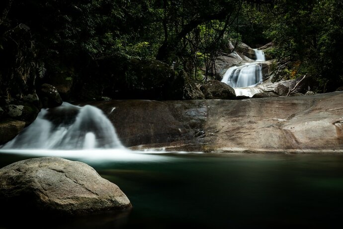 Imagen general del Hotel The Canopy Rainforest Treehouses and Wildlife Sanctuary. Foto 15