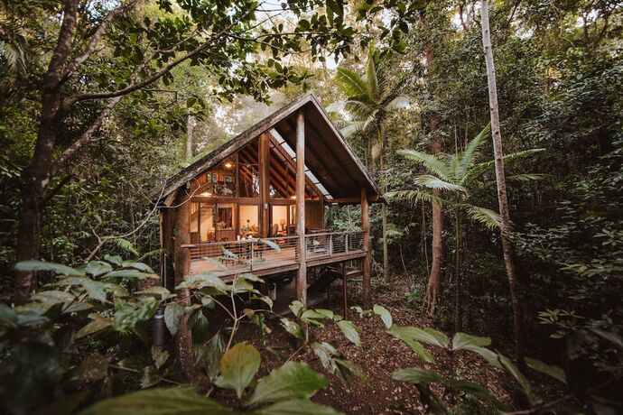Imagen de la habitación del Hotel The Canopy Rainforest Treehouses and Wildlife Sanctuary. Foto 21