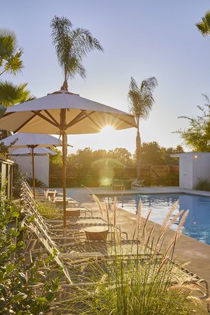 Imagen de la piscina del Hotel The Capri, Ojai. Foto 11