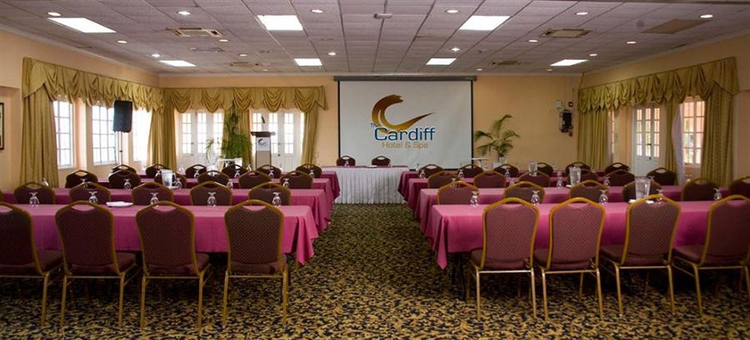 Imagen de los interiores del Hotel The Cardiff and Spa. Foto 7