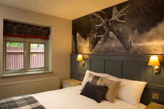 Imagen de la habitación del Hotel The Carnarvon Arms. Foto 13