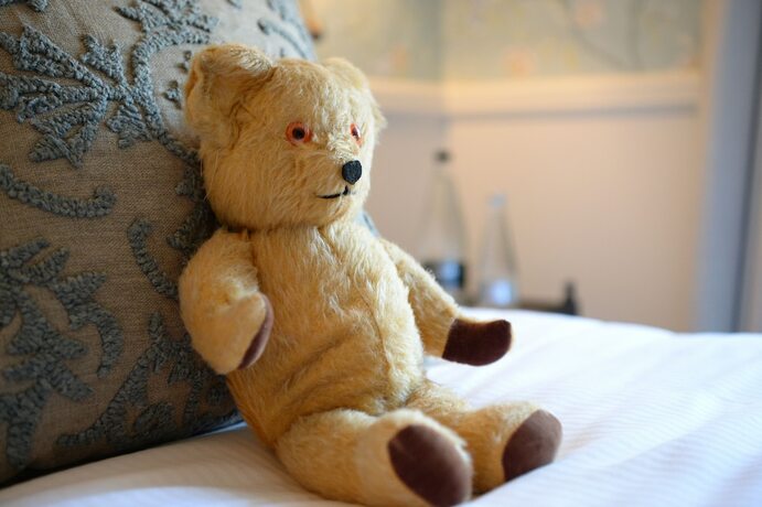 Imagen general del Hotel The Castle Inn. Foto 6