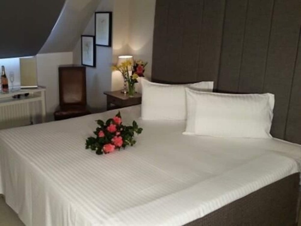 Imagen de la habitación del Hotel The Castle Inn. Foto 9