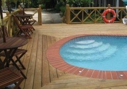 Imagen de la piscina del Hotel The Catamaran. Foto 9