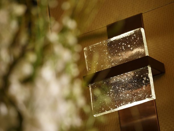 Imagen de los interiores del Hotel The Celestine Ginza. Foto 19