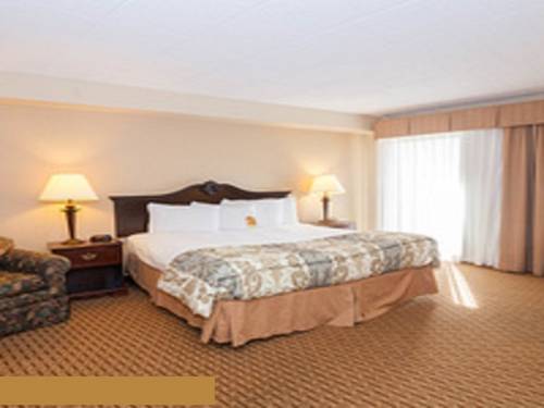 Imagen de la habitación del Hotel The Chateau Resort. Foto 6