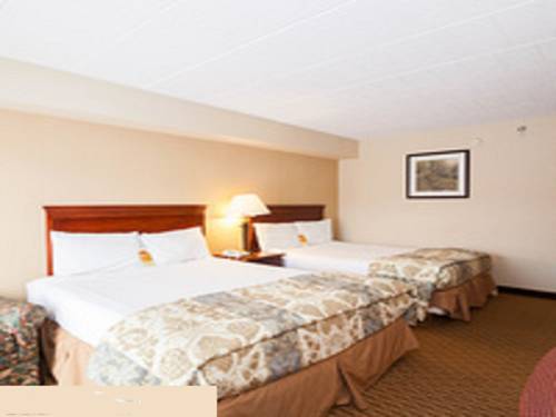 Imagen de la habitación del Hotel The Chateau Resort. Foto 8