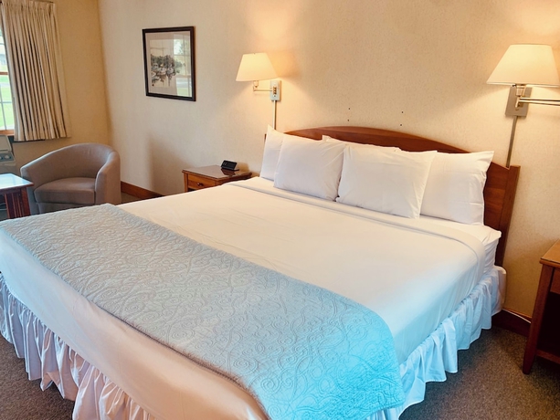 Imagen de la habitación del Hotel The Chatham Motel. Foto 12