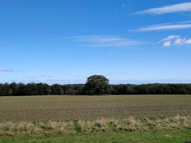 Imagen general del Hotel The Chilterns Fox. Foto 10