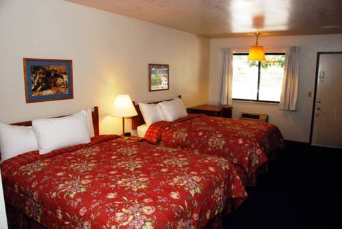 Imagen de la habitación del Hotel The Christmas Tree Inn. Foto 5