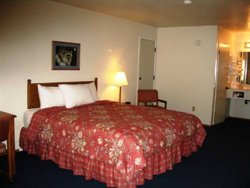 Imagen de la habitación del Hotel The Christmas Tree Inn. Foto 6