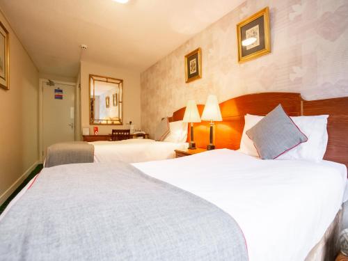 Imagen de la habitación del Hotel The Clachan, Lochearnhead. Foto 8