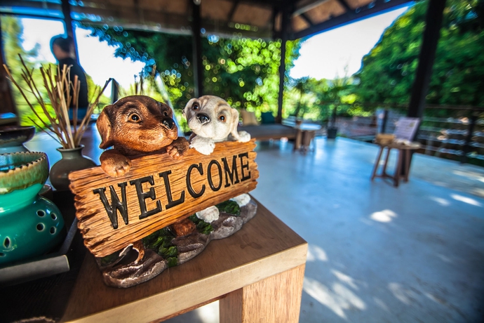 Imagen de los exteriores del Hotel The Cliff Lipe. Foto 11