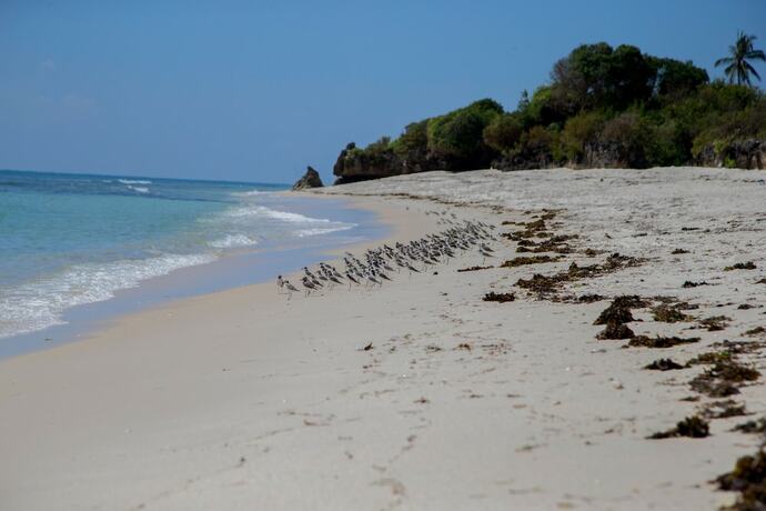 Imagen general del Hotel The Coconut Beach Boutique Lodge and Spa. Foto 3