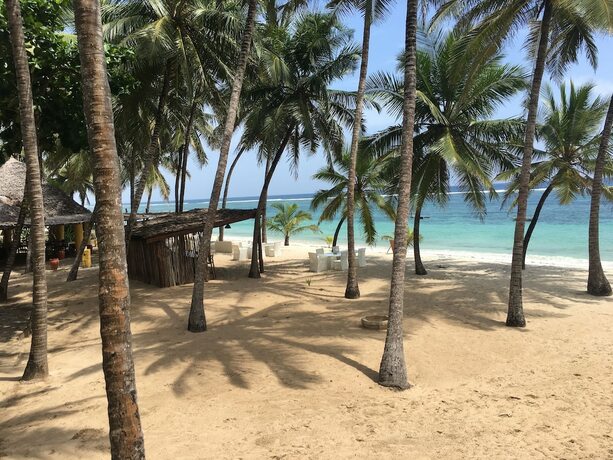 Imagen general del Hotel The Coconut Beach Boutique Lodge and Spa. Foto 11